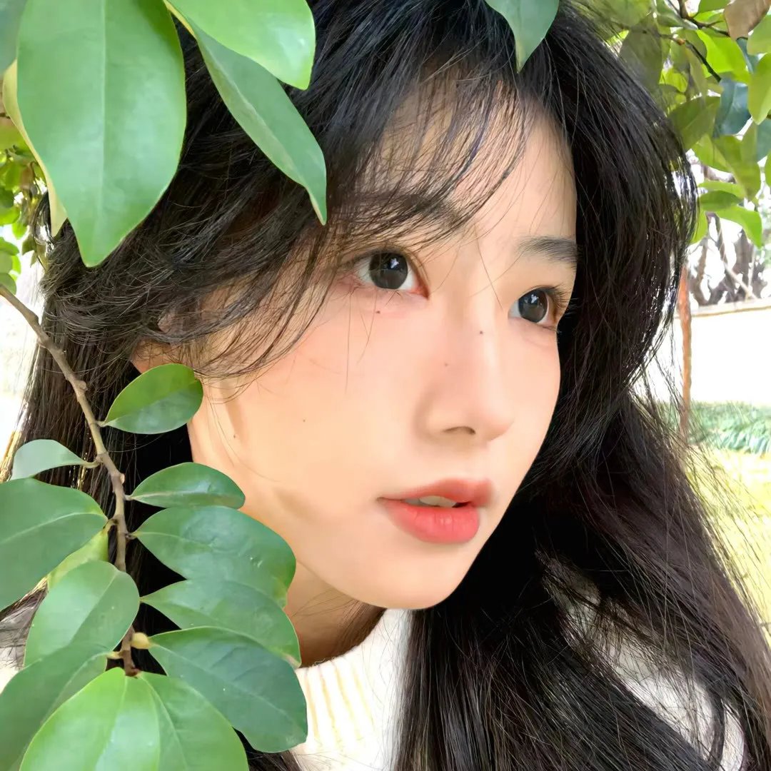 旋转玛丽