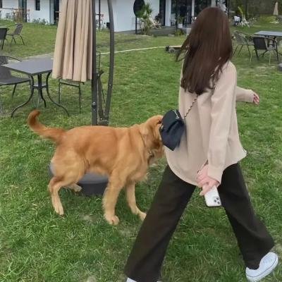 与你的九次相遇